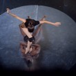 Mercoledì 21 settembre andrà in scena Octopus messa in scena e coreografia Philippe Decouflé