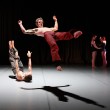 Circa, il circo contemporaneo arriva a Torinodanza Circa, il circo contemporaneo arriva a Torinodanza