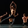 BachProject / Sarabande - ph Andrea Macchia